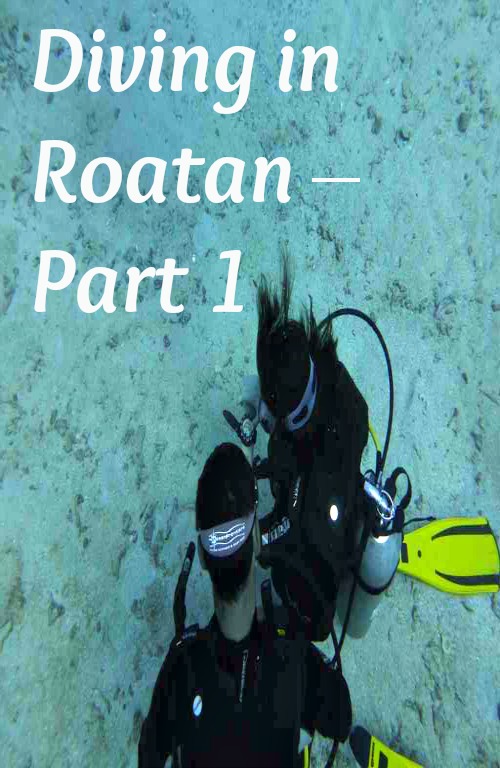 Diving in Roatan – Part 1