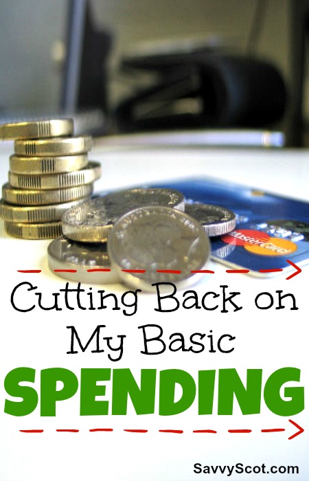 My Basic Spending