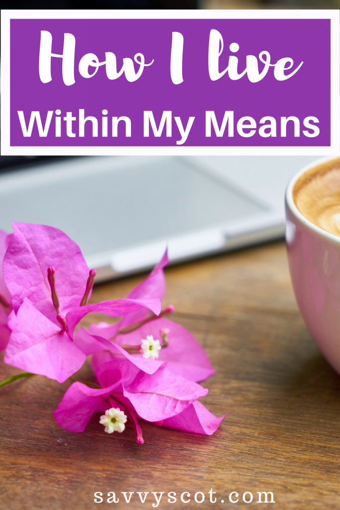 How I Live Within My Means. Are you living within your means? Here are my good tips on how I live within my means!
