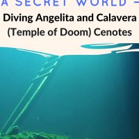 Temple of Doom) After diving the murky waters of Angelita, Calvera was a return to the crystal clear water of Grand Cenote and Casa Cenote. Temple of