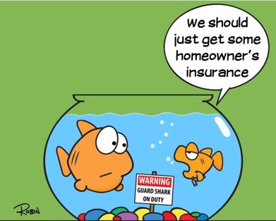 insurance jokes