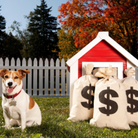 Fido's Finances Tips to Keep Pet Care Costs Low